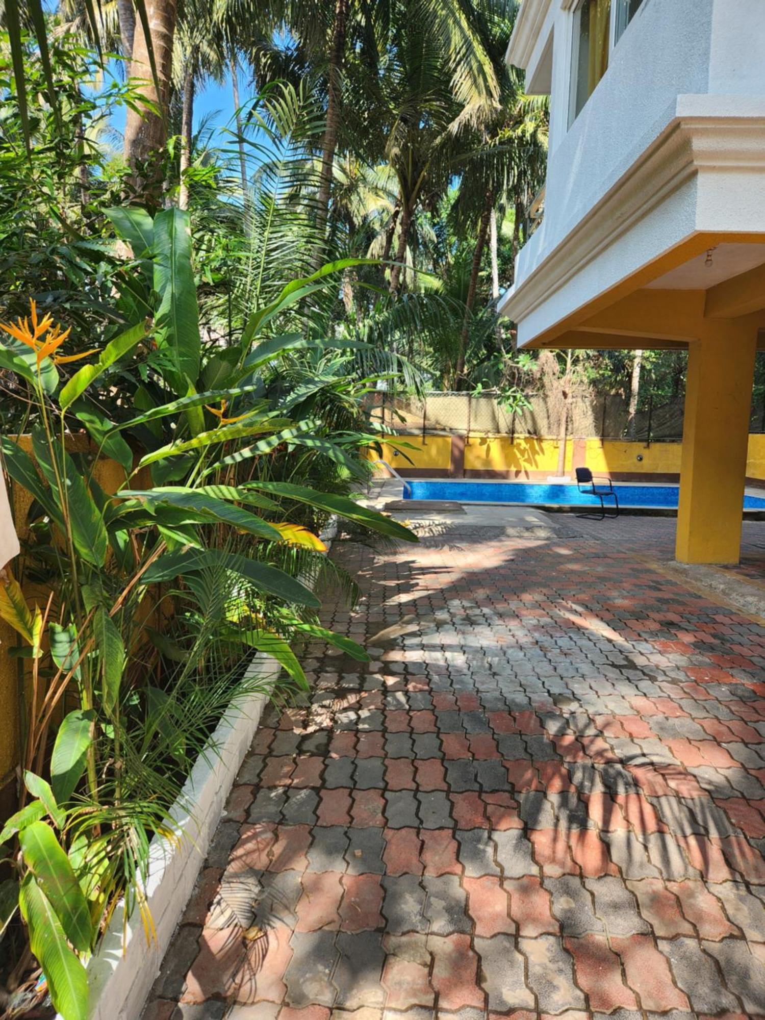 Luxury 2Bhk Apartment Near Calangute Baga Beach With Pool Zewnętrze zdjęcie